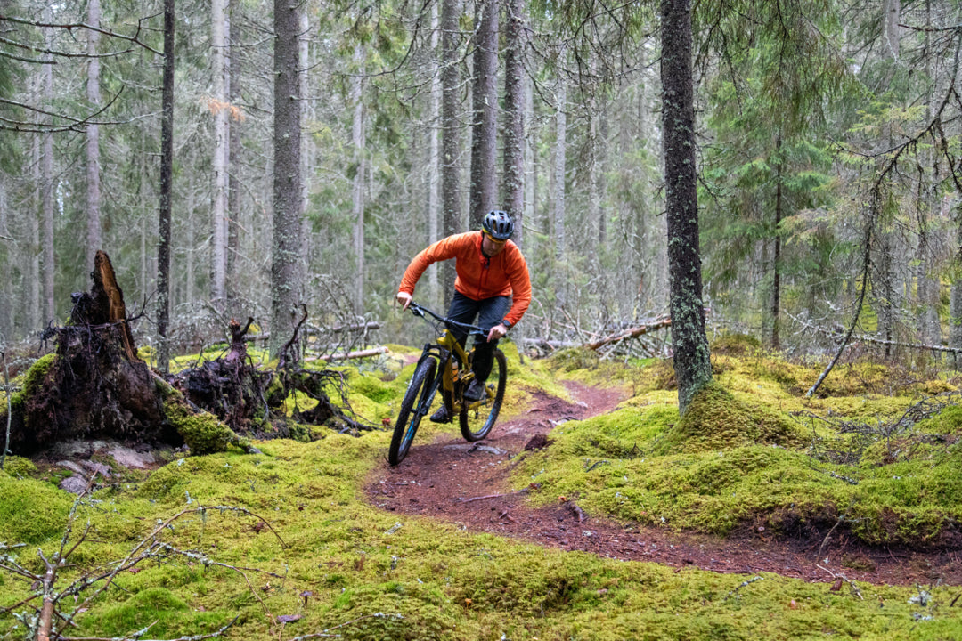 Hur beter vi oss mot varandra i skogen?