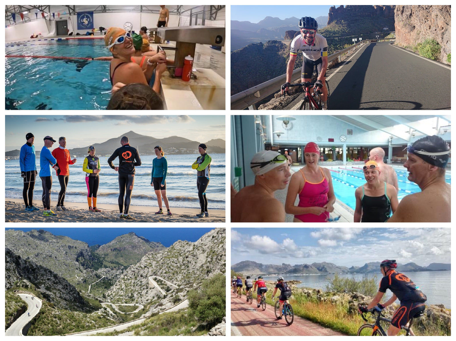 Team Snabbares nyhetsbrev 29 nov 2019