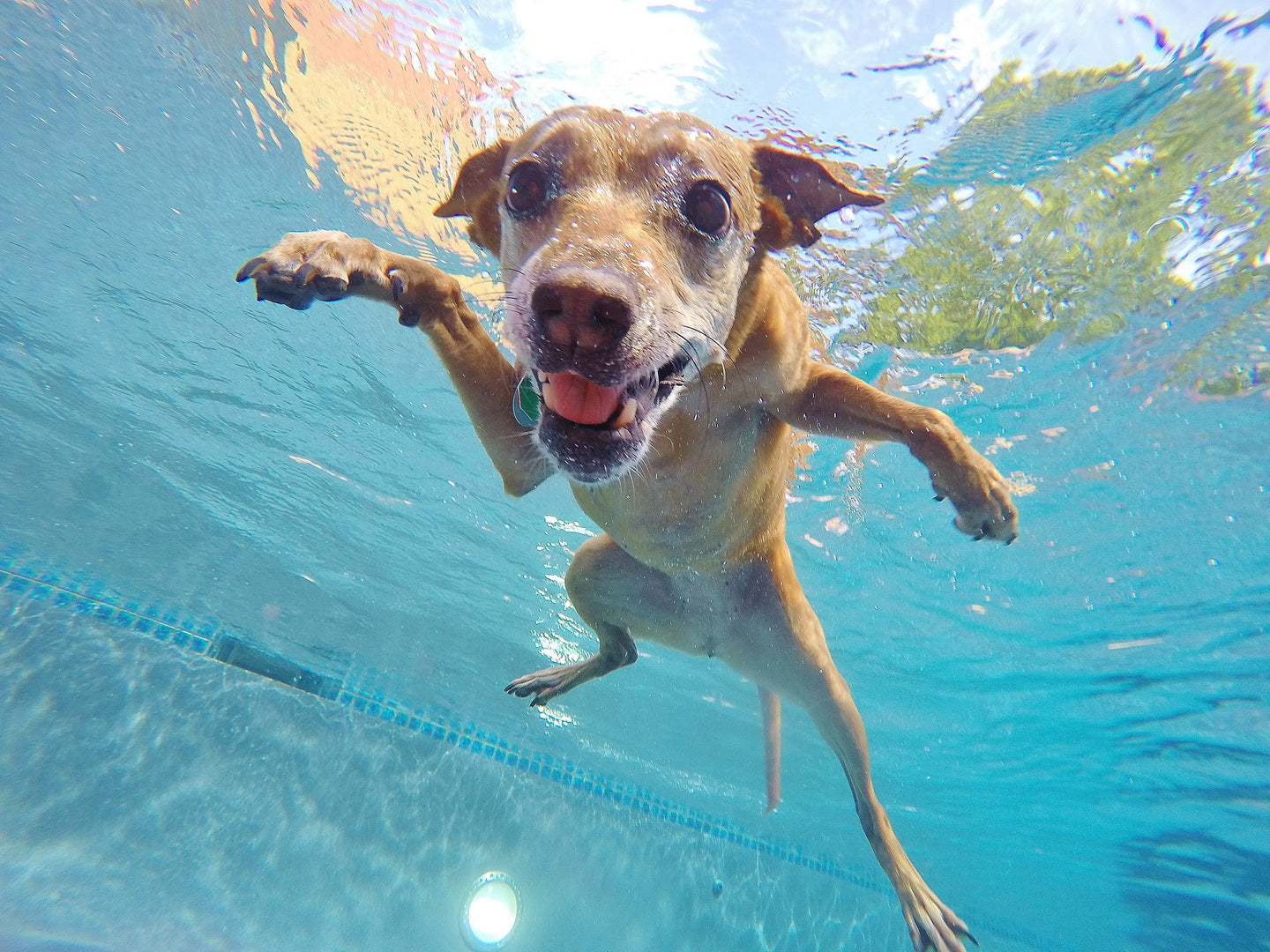 Så får du rätt timing när du simmar