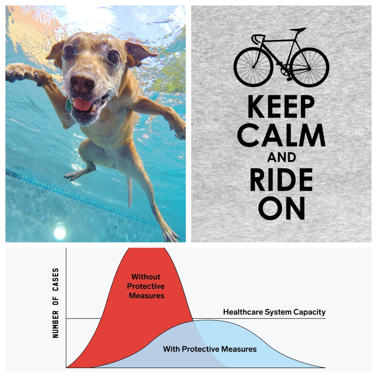 Team Snabbares nyhetsbrev 26 mars 2020