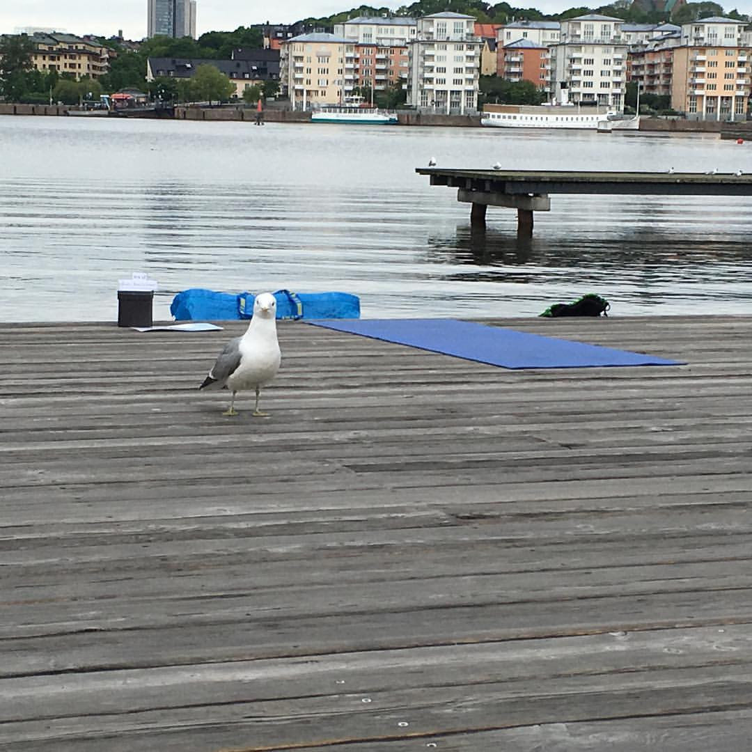 SommarYoga som gör skillnad