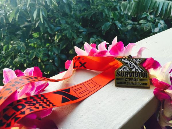 Team Snabbares Nyhetsbrev 17 november 2015