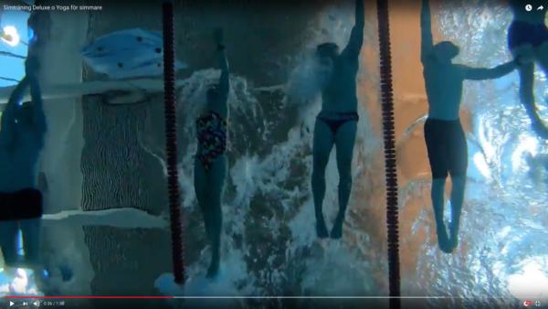 Team Snabbares nyhetsbrev 21 december 2017