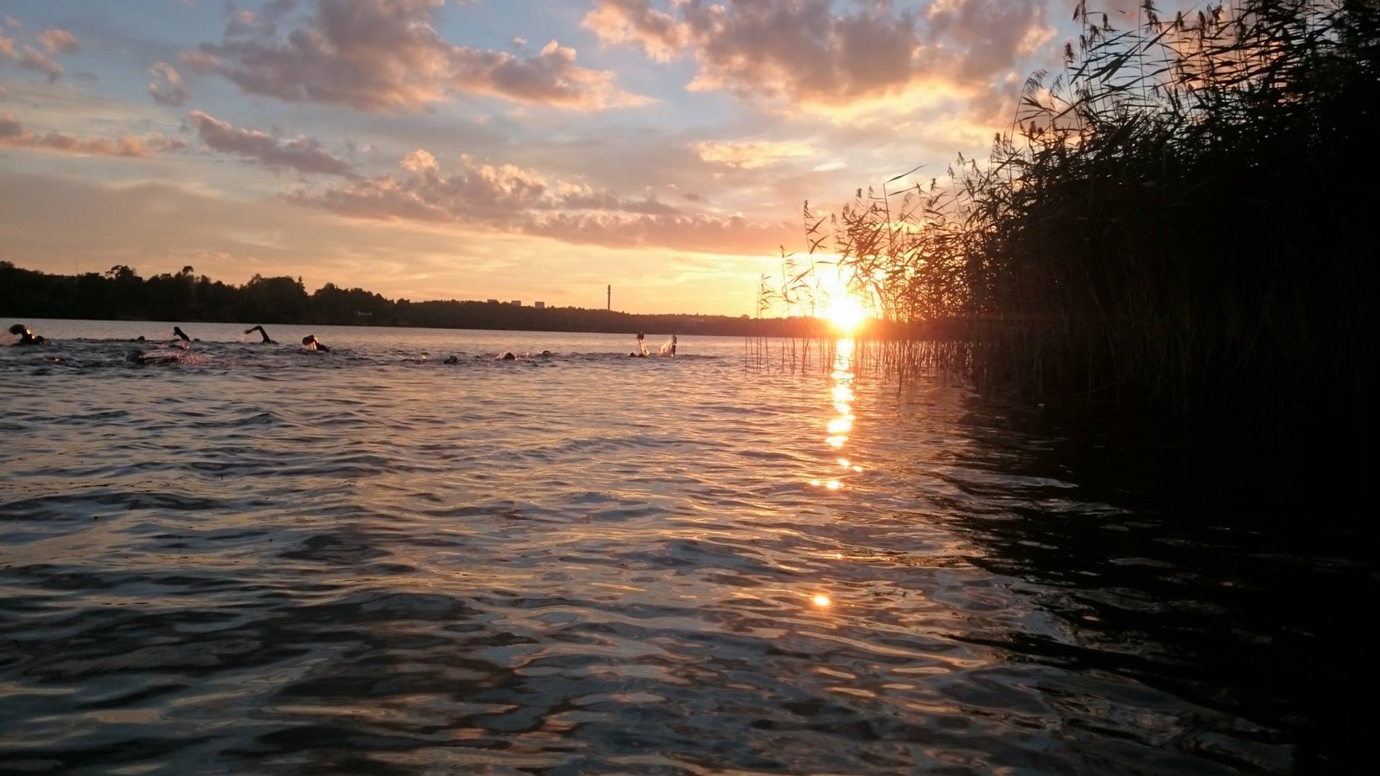 Vansbrosimningen ställs in