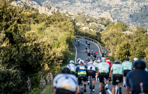 Intresseanmälan Mallorca 312, 2026